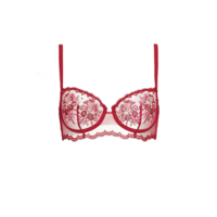 Intrigue Half Cup Bra