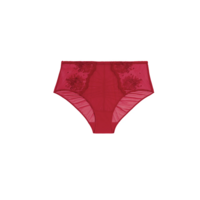 Intrigue Retro Brief