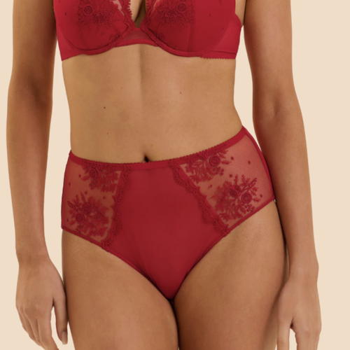 Intrigue Retro Brief 