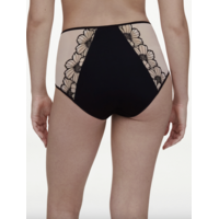 Lush High Waist Full Brief