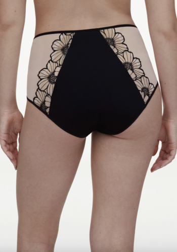 Lush High Waist Full Brief 