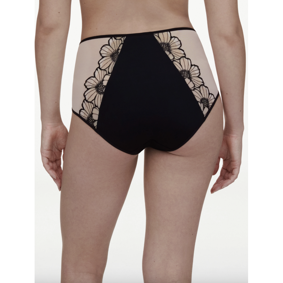 Lush High Waist Full Brief