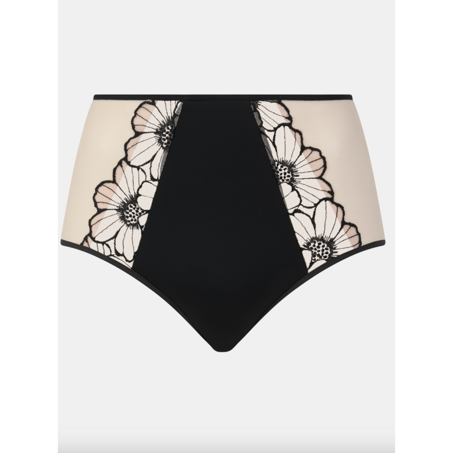 Lush High Waist Full Brief
