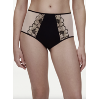 Lush High Waist Full Brief