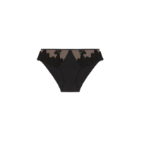 Saga Brief