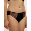 Eliyse Brief
