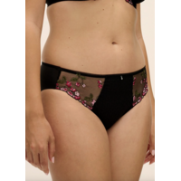 Eliyse Brief