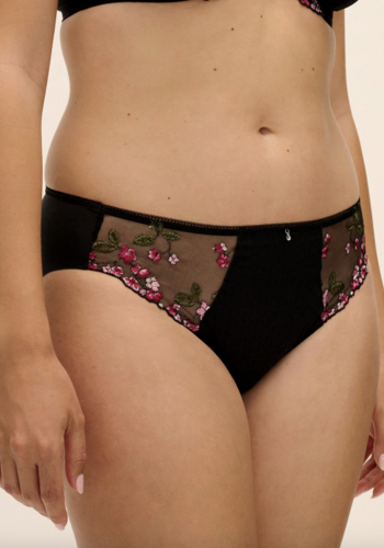Eliyse Brief 