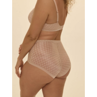 Plume Control Brief