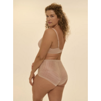 Plume Control Brief