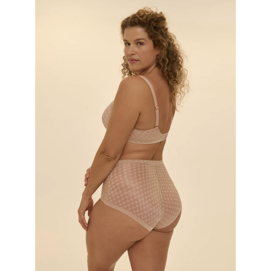 Plume Control Brief