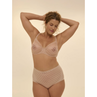 Plume Control Brief