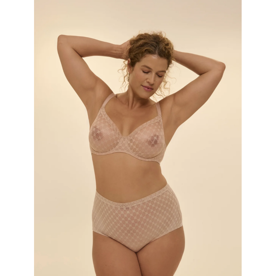 Plume Control Brief
