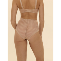 Plume Control Brief