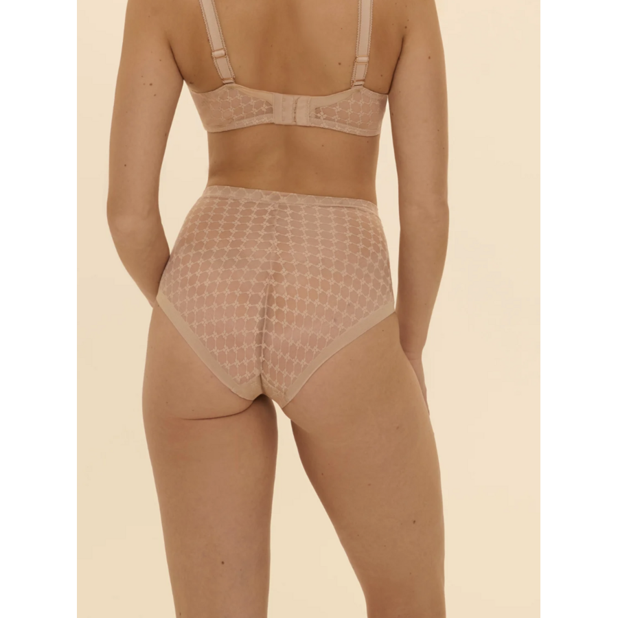 Plume Control Brief