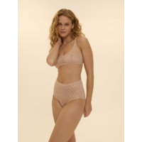Plume Control Brief