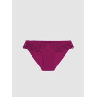 Passion Progressive Brief