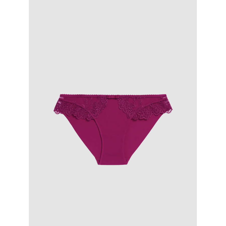 Passion Progressive Brief