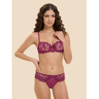 Passion Progressive Brief