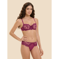 Passion Progressive Brief