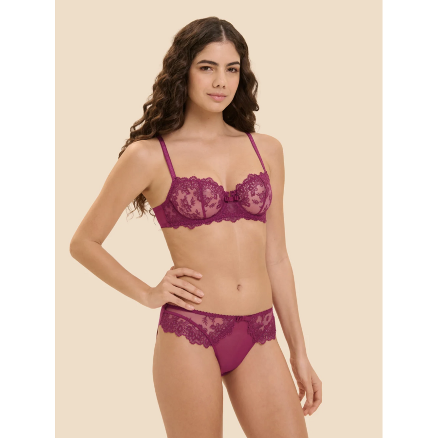 Passion Progressive Brief