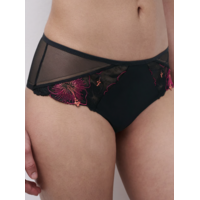 Daydream Lace Hipster