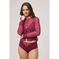 Vixen Mesh Top & Panty Set With High-Waist Brief