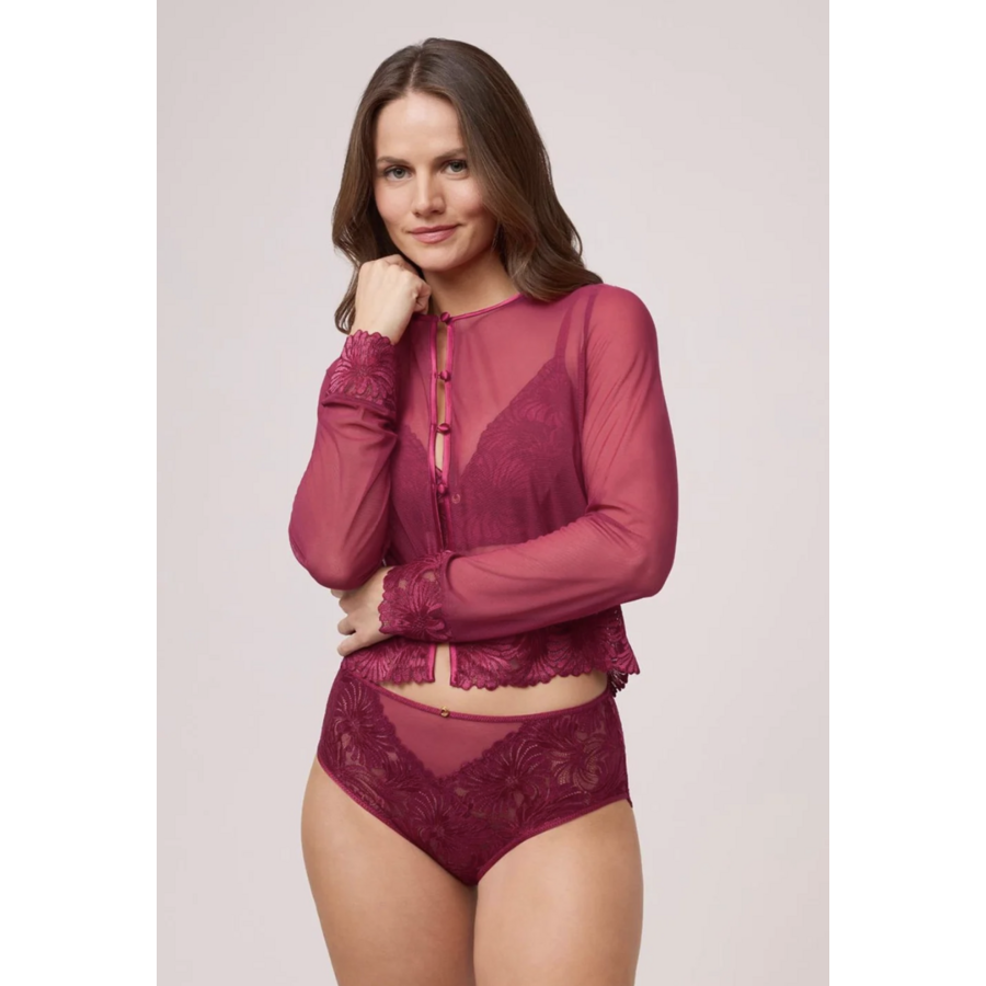 Vixen Mesh Top & Panty Set With High-Waist Brief