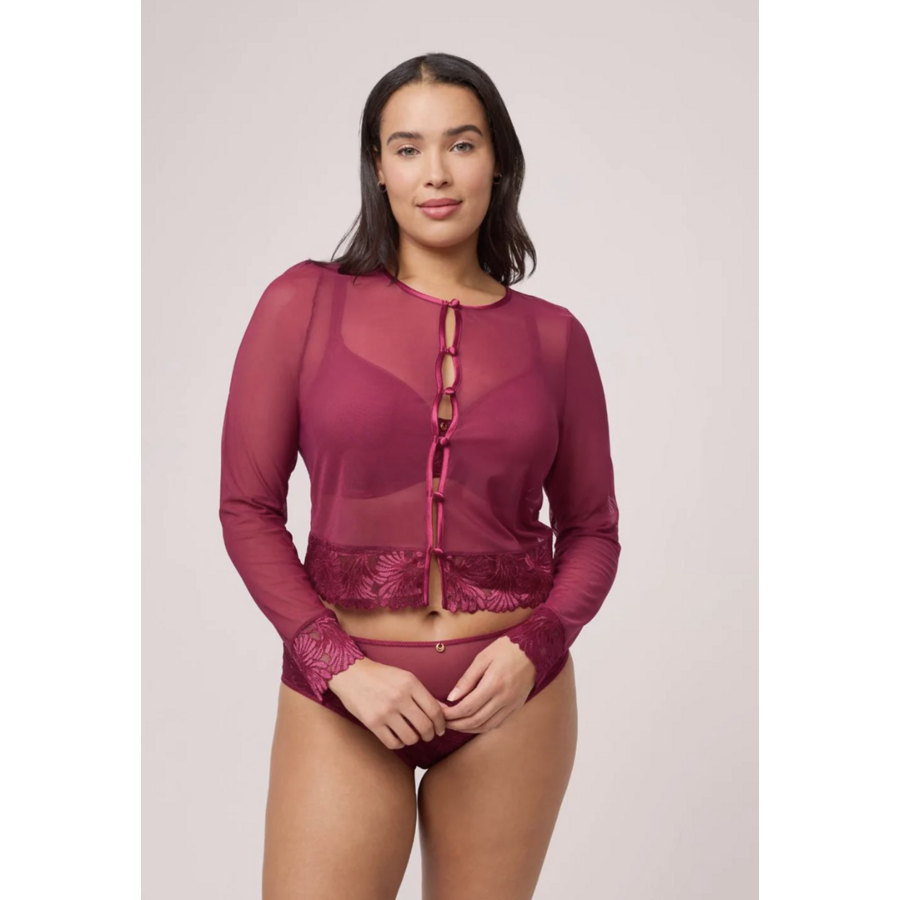Vixen Mesh Top & Panty Set With High-Waist Brief