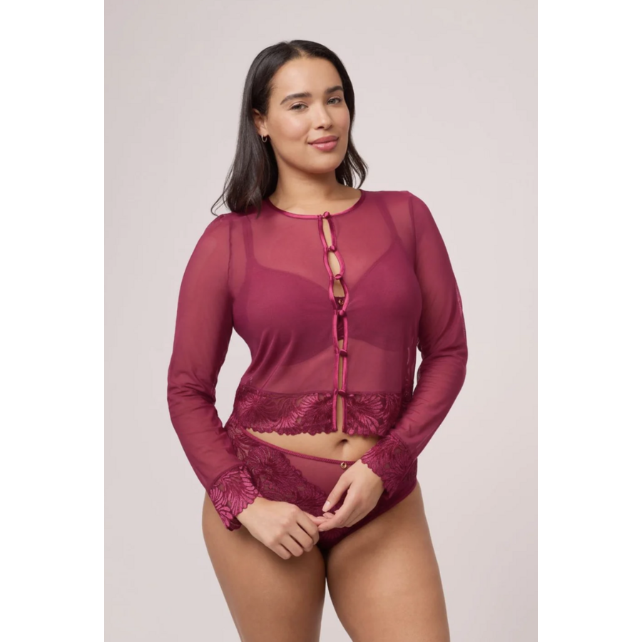 Vixen Mesh Top & Panty Set With High-Waist Brief
