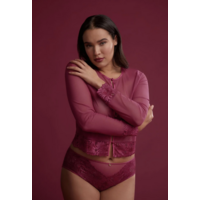 Vixen Mesh Top & Panty Set With High-Waist Brief
