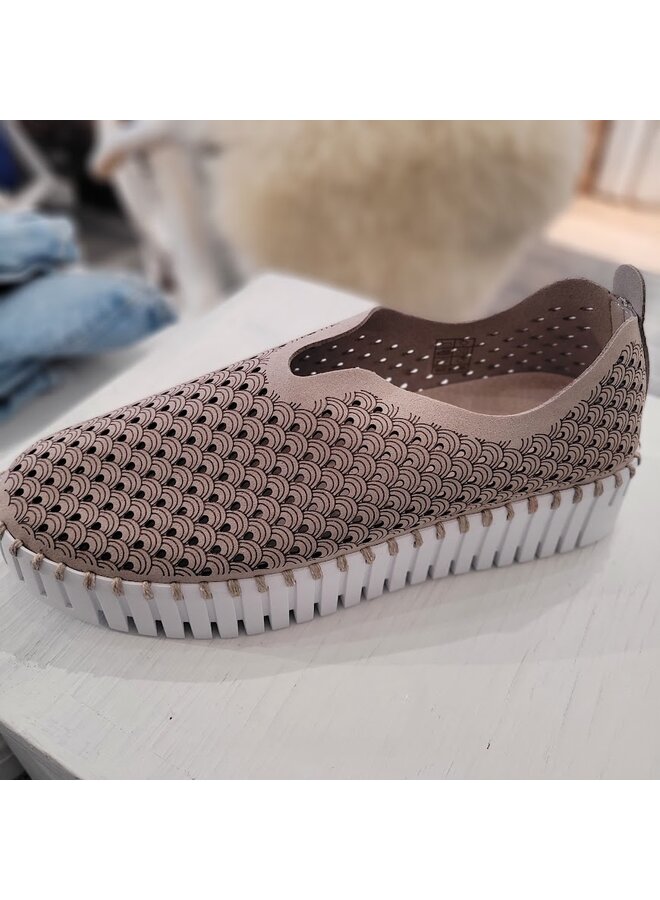 Chaussure TULIP3373  - atmosphere