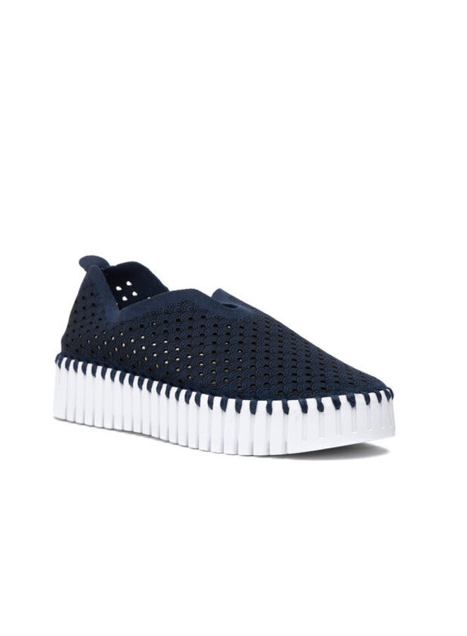 TULIP3373 - dark indigo