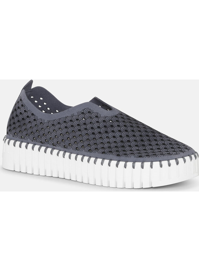 Chaussure TULIP3373  - bleu gris