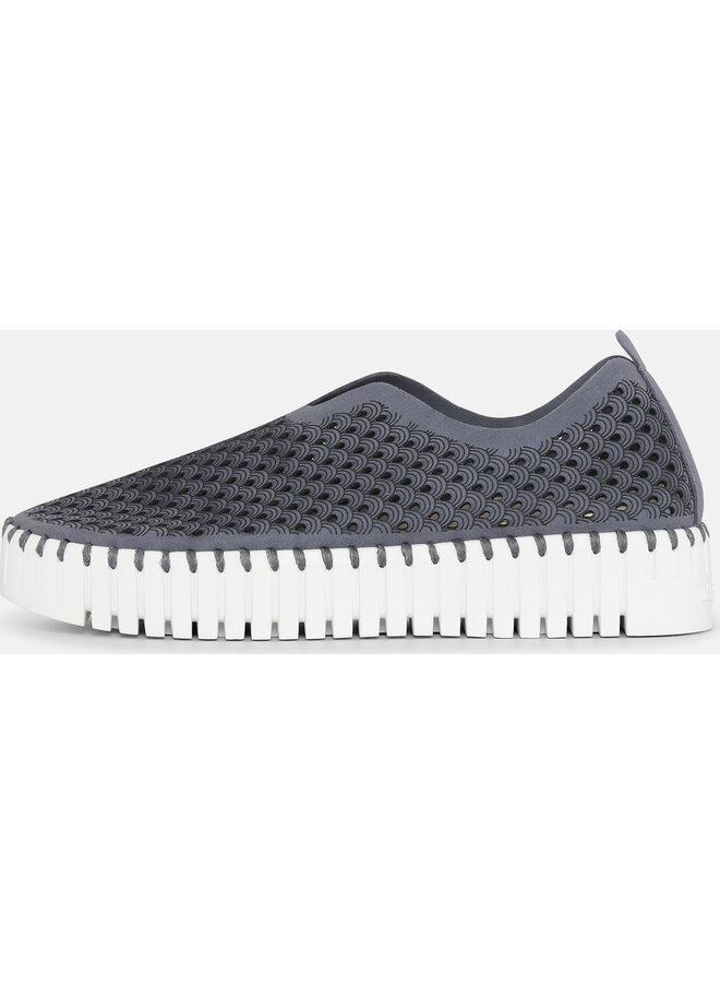 Chaussure TULIP3373 -  bleu gris