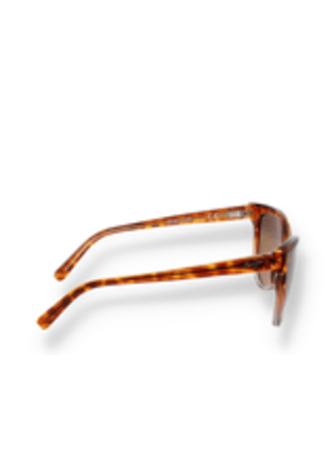 MAUI JIM HS537-10A - bronze