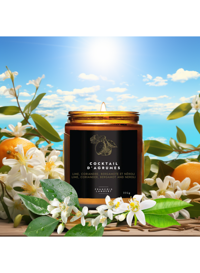No.11 Cocktail d'agrumes - Bougie  de soya, Lime-Coriandre-Bergamote-Néroli  Mèche de coton