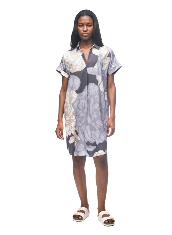 FRIVOL - boreal piwonia