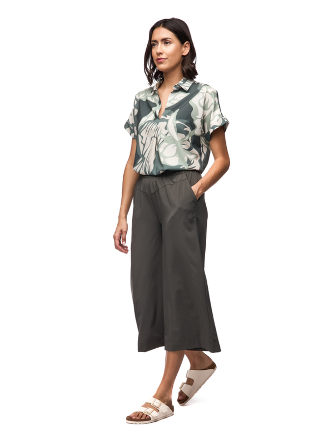 EPESI III - nepherite