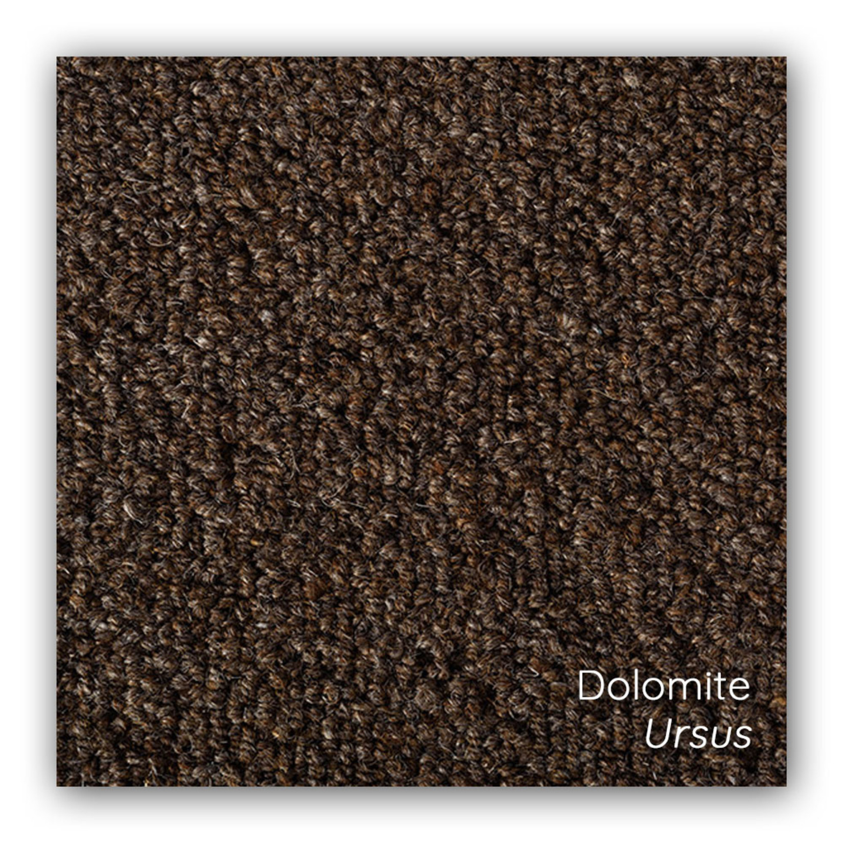 Earth Weave Dolomite Area Rugs