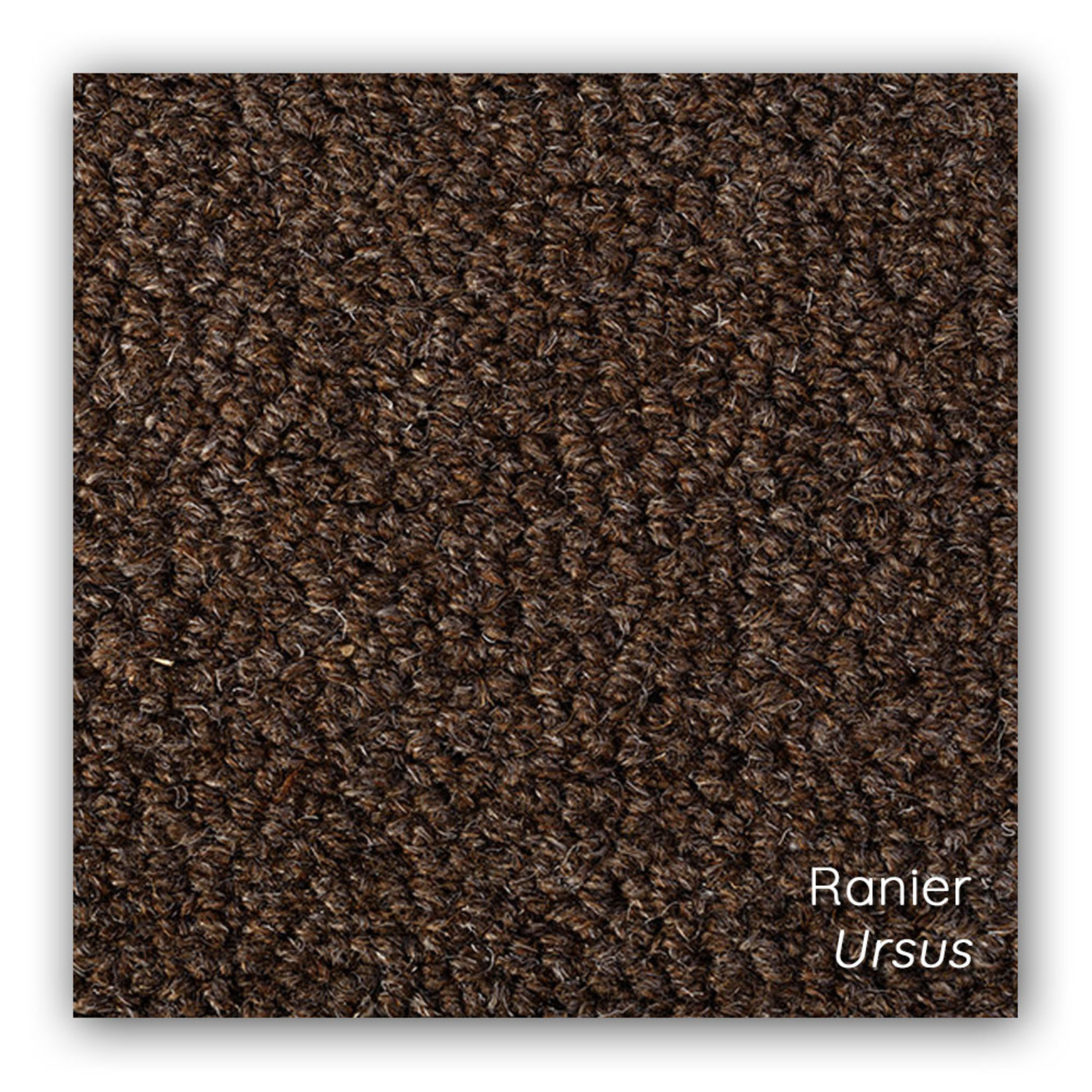 Earth Weave Ranier Area Rugs