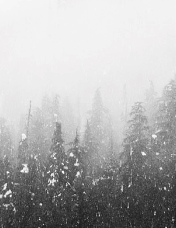 Bien-être & lingerie