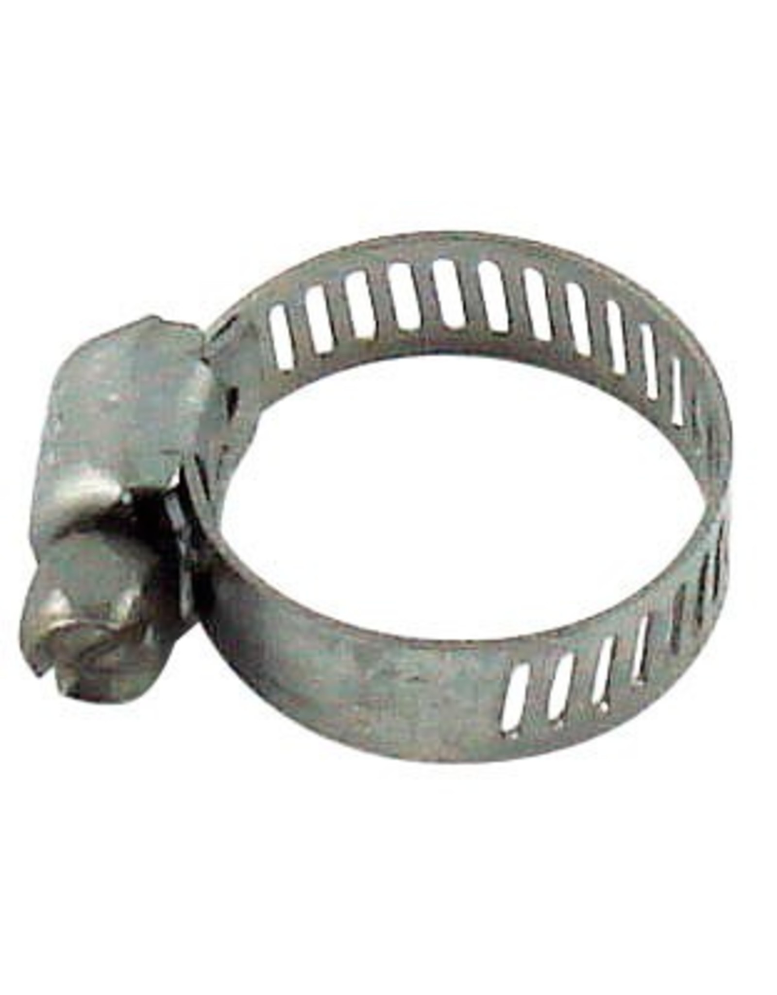 Hose Clamp - Large Worm Stainless lwc