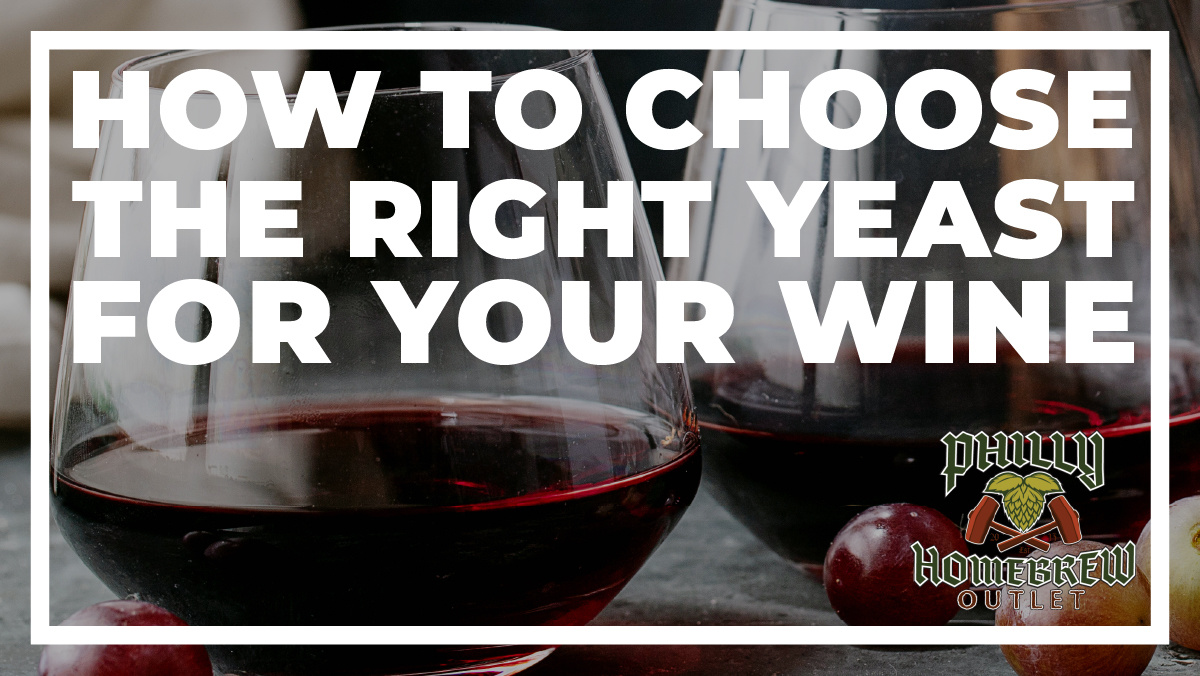 How to Choose the Right Yeast for Your Wine