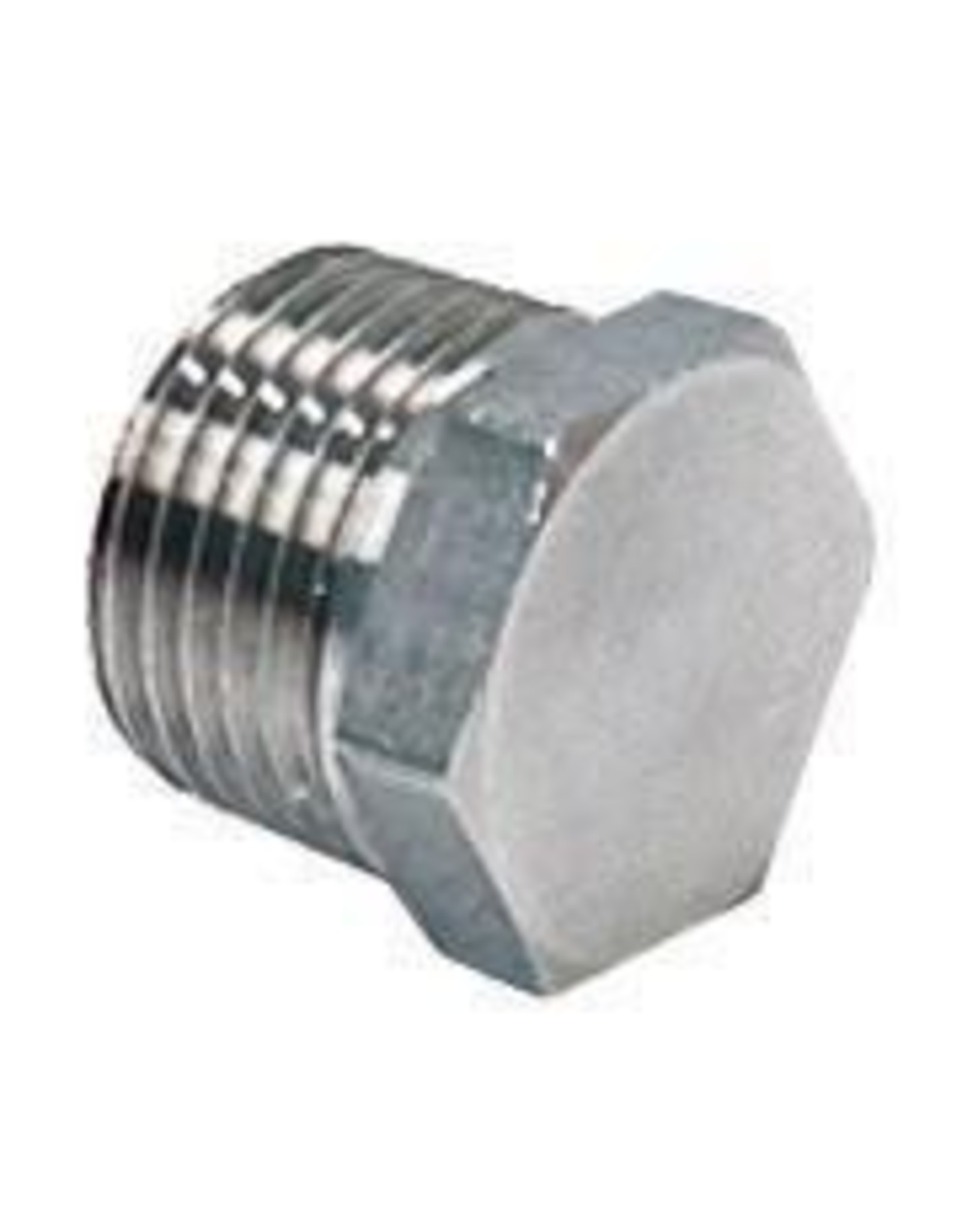 1/2'' NPT SS Hex Plug for Kettles