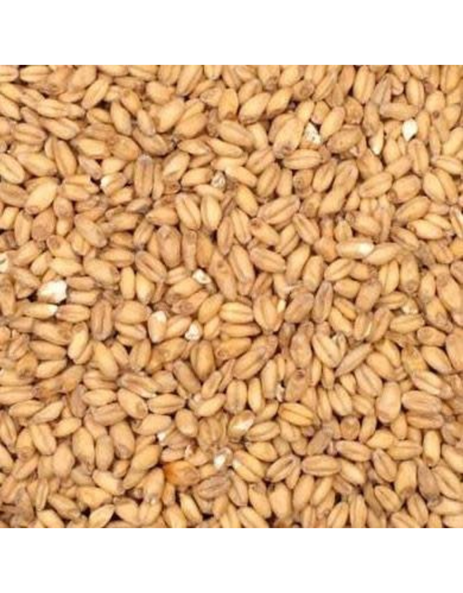 Malted Wheat Philly Homebrew Outlet
