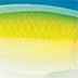 Rapala Rapala X-Rap Twitchin' Mullet 08
