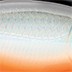 Rapala Rapala X-Rap Twitchin' Mullet 08