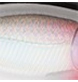 Rapala Rapala X-Rap Twitchin' Mullet 08