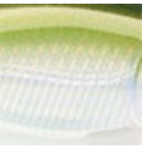 Rapala Rapala X-Rap Twitchin' Mullet 08
